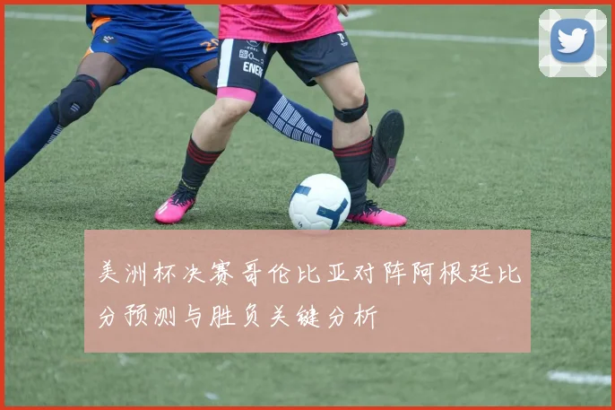 美洲杯决赛哥伦比亚对阵阿根廷比分预测与胜负关键分析