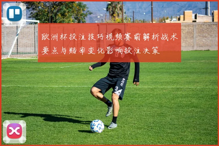 欧洲杯投注技巧视频赛前解析战术要点与赔率变化影响投注决策