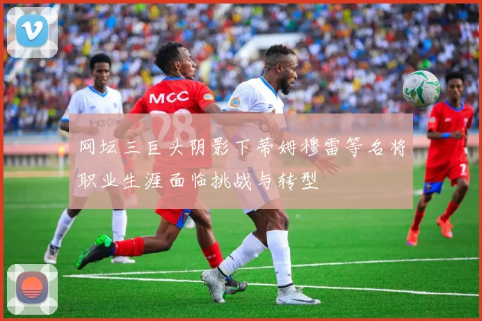 网坛三巨头阴影下蒂姆穆雷等名将职业生涯面临挑战与转型