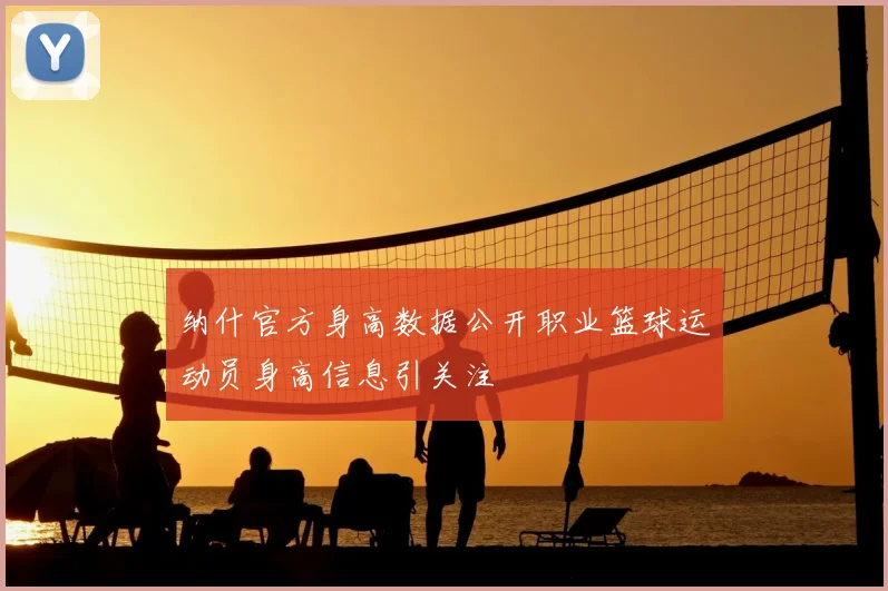 纳什官方身高数据公开职业篮球运动员身高信息引关注