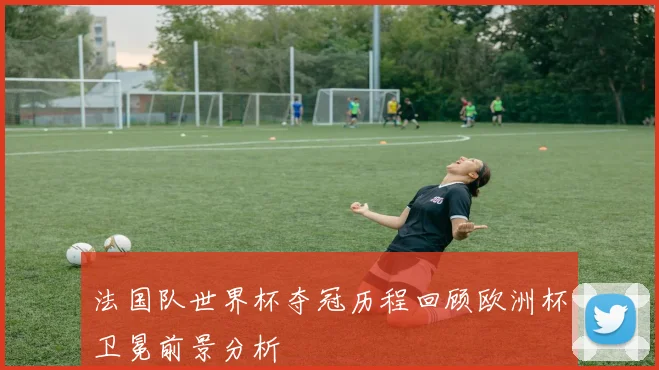 法国队世界杯夺冠历程回顾欧洲杯卫冕前景分析
