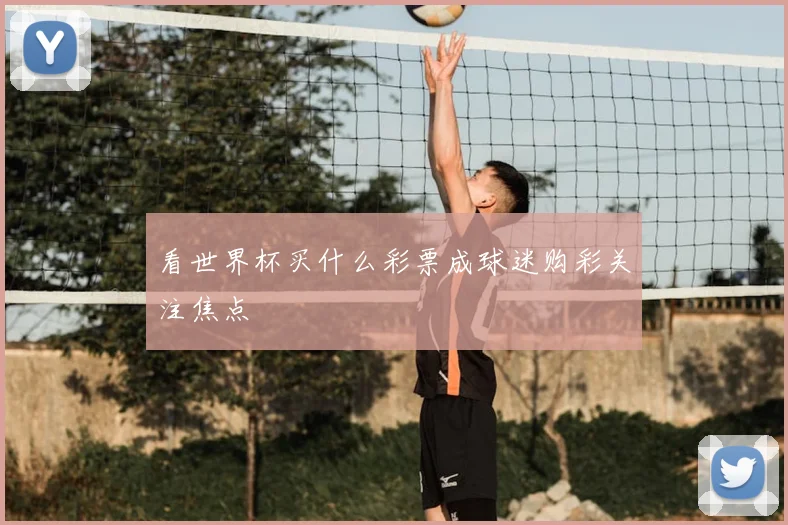 看世界杯买什么彩票成球迷购彩关注焦点