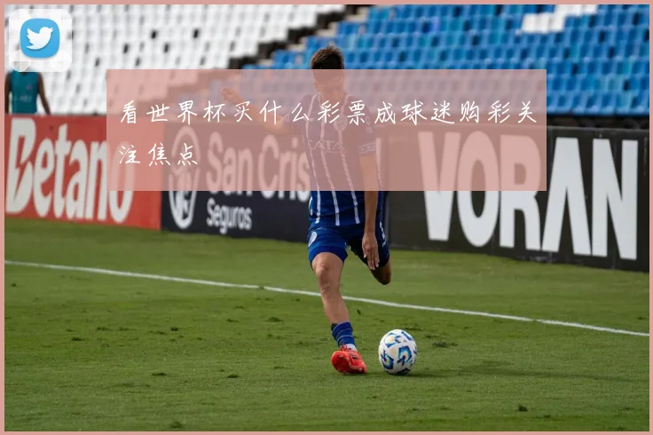 看世界杯买什么彩票成球迷购彩关注焦点