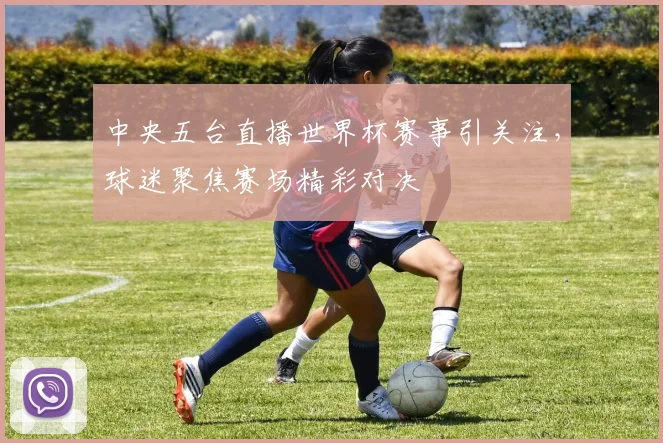 中央五台直播世界杯赛事引关注，球迷聚焦赛场精彩对决