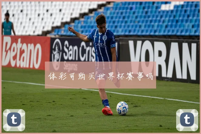 体彩可购买世界杯赛事吗