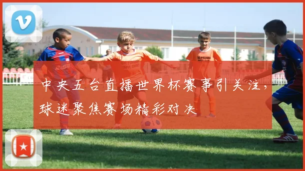 中央五台直播世界杯赛事引关注，球迷聚焦赛场精彩对决