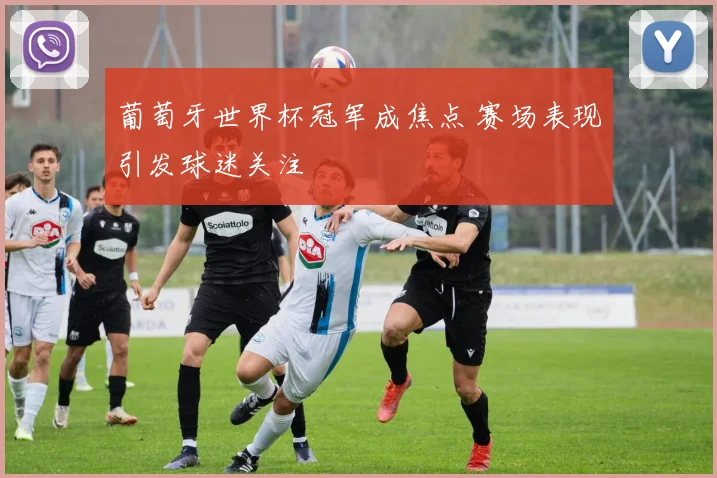葡萄牙世界杯冠军成焦点 赛场表现引发球迷关注