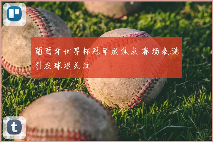 葡萄牙世界杯冠军成焦点 赛场表现引发球迷关注