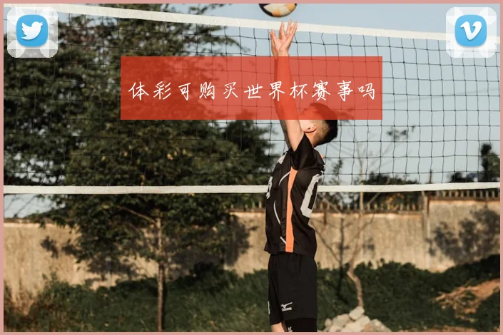 体彩可购买世界杯赛事吗