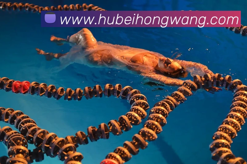 奖项证书